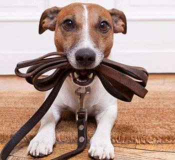 conheça mais sobre esse nosso serviço