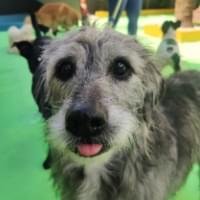 Veja que lindo este depoimento