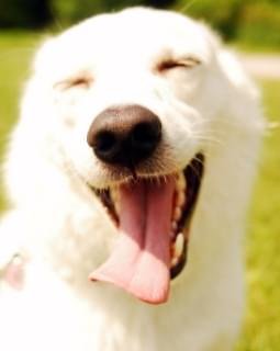 Conheça nossa estrutura