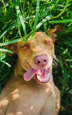 Conheça nossa estrutura