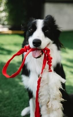 Conheça nossa estrutura