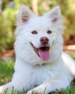 Conheça nossa estrutura