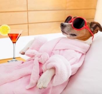 conheça mais sobre esse nosso serviço