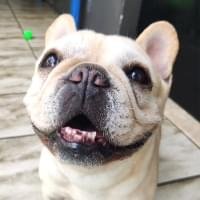 Veja que lindo este depoimento