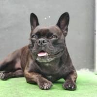 Veja que lindo este depoimento