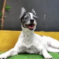 Veja que lindo este depoimento