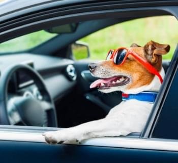 conheça mais sobre esse nosso serviço