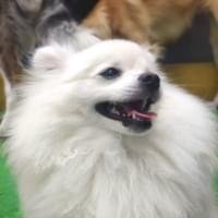 Veja que lindo este depoimento